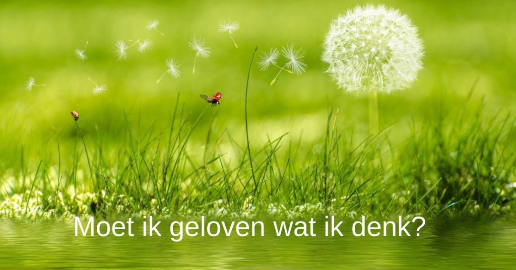 niet-helpende gedachten geloven of niet